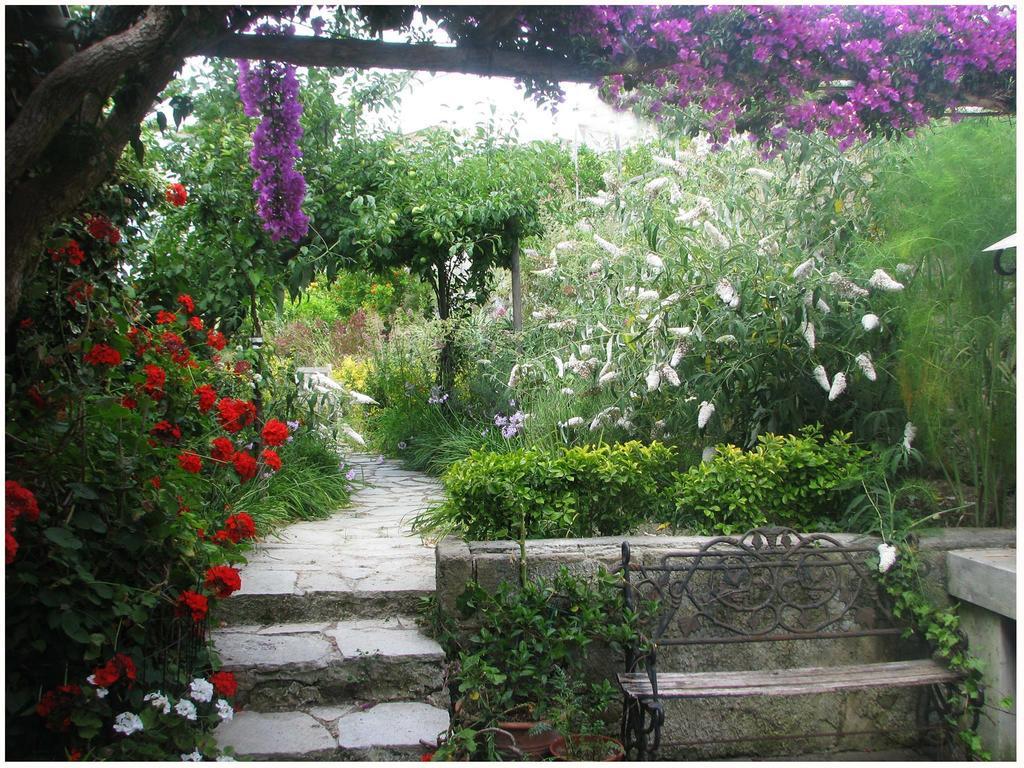 B&B La Salamandra Kitchengarden Forio di Ischia Εξωτερικό φωτογραφία